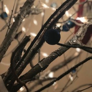 Meet your Posher, Jolean